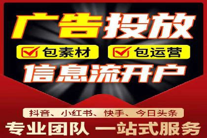 SEM代运营服务公司成功案例解析